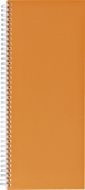 Livre d'inventaire 135x330mm ligné 160 pages 70g spirale orange