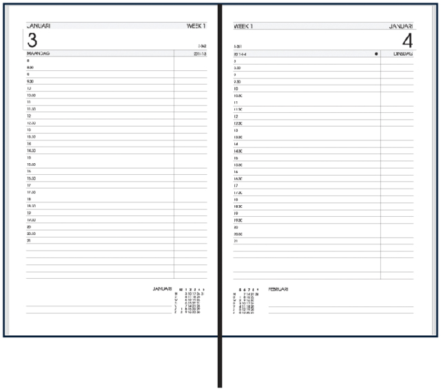 Agenda 2025 Ryam Efficiency Baladek 1 jour/1 page bordeaux