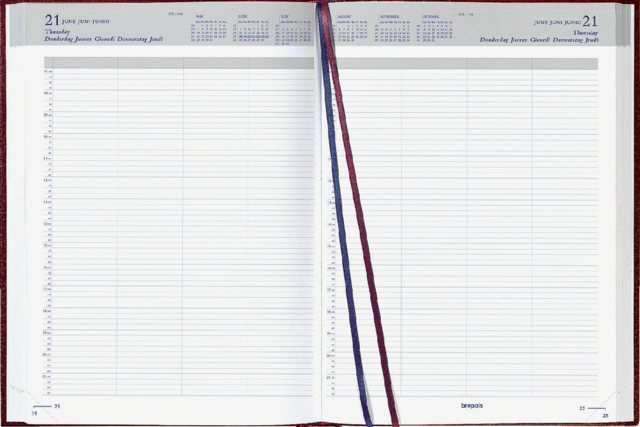 Agenda 2025 Brepols Bremax Santex A4 1 jours/2 pages 8 colonnes bordeaux