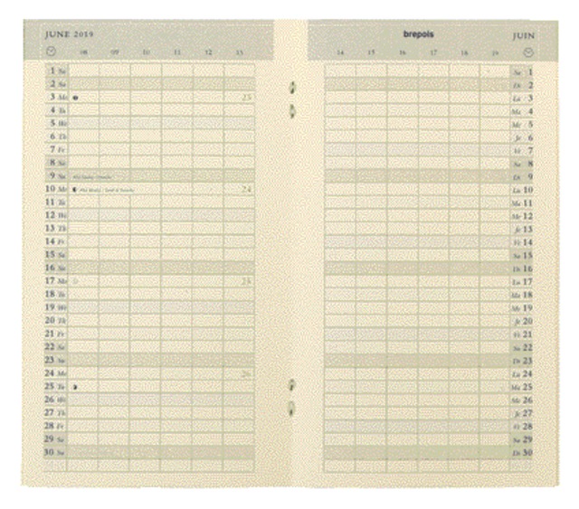 Agendavulling 2025 Brepols Plan-O-Rama 1maand/2pagina's