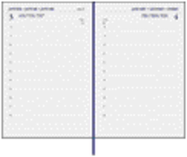 Agenda 2025 Ryam Memo Mundior 1 jour/1 page bordeaux