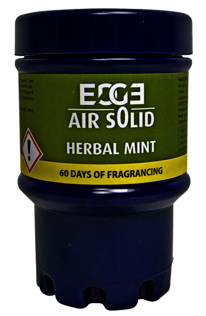 Désodorisant Euro Products Q25 Green Air Herbal Mint 417361