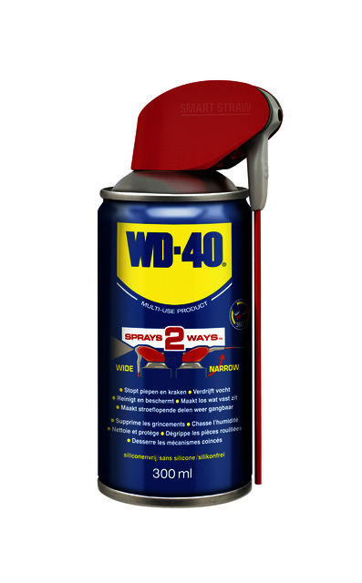 Spray multifonction WD-40 Smart Straw 300ml