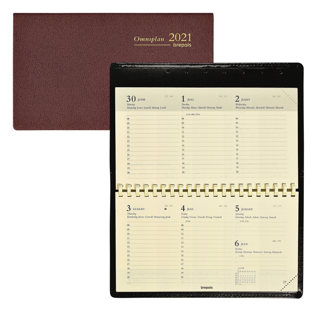 Agenda 2021 Omniplan 7 jours/2 pages 9x16cm Geneva paysage bordeaux