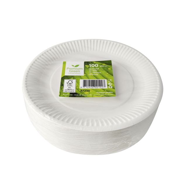 Assiette IEZZY 230mm carton blanc 100 pièces