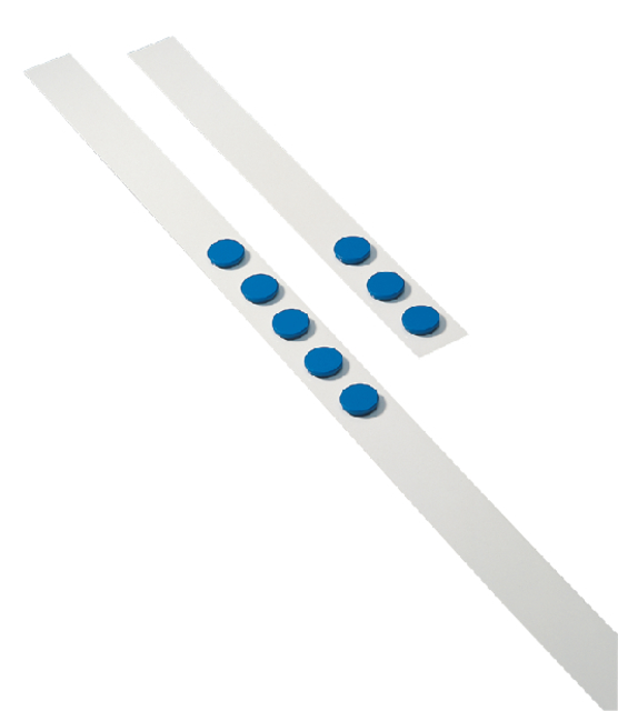 Wandlijst Desq 100cm met 5 blauwe magneten 32mm