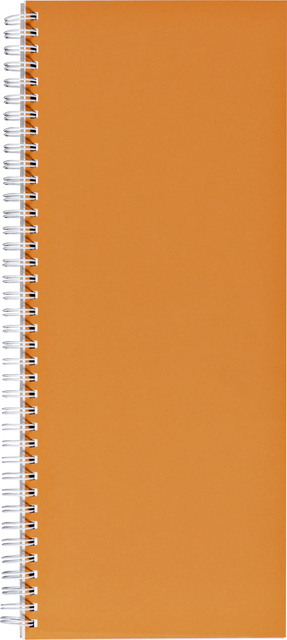 Livre d''inventaire 135x330mm ligné 160 pages 70g spirale orange