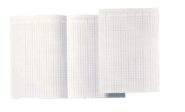 Papier comptable Atlanta double in-folio 14 colonnes 100 feuilles
