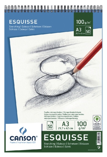 [746250] Bloc à croquis Canson Graduate A3 96g 40 feuilles