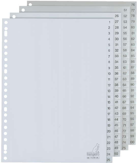 Intercalaires A4 23 perforations