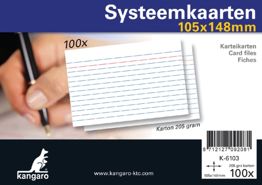 [200911] Systeemkaarten A6 105x148mm 100 stuks