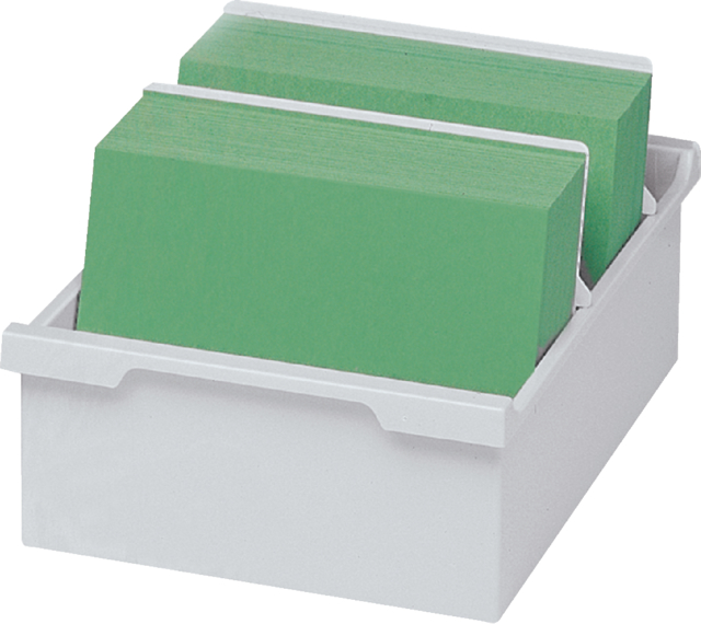 Boîte à fiches Exacompta A5 bac plastique gris