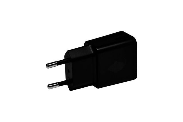 Chargeur Green Mouse USB-A 2 ports 2.4A noir