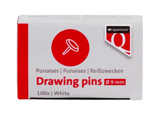 [1399295] Punaises Quantore 100 stuks zilver