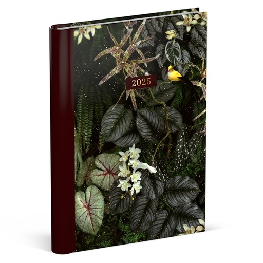 [1431109] Agenda 2025 Lannoo Botanic 7 jours/2 pages Dark Green