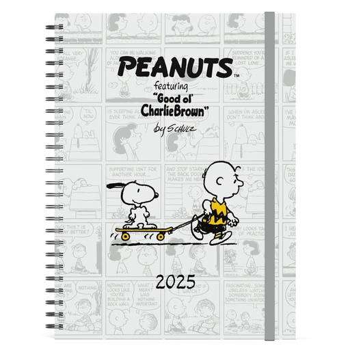 [1431111] Agenda 2025 Lannoo Peanuts 7 jours/2 pages