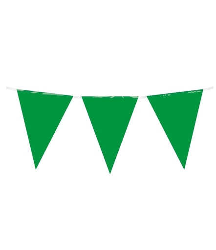 [1435025] Drapeaux Party PE vert